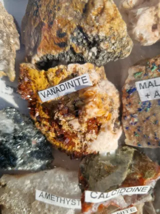 Collezione di minerali e rocce