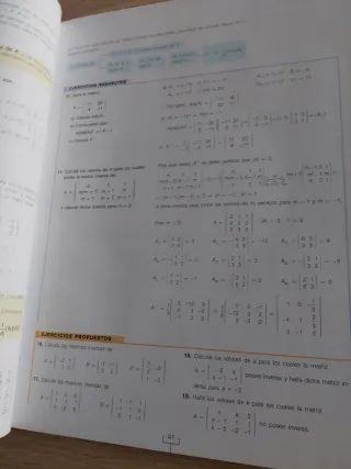 Matemáticas aplicadas a las ciencias sociales. ...