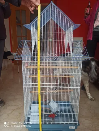 Jaula grande para pájaros Regalo otra mediana 1x53