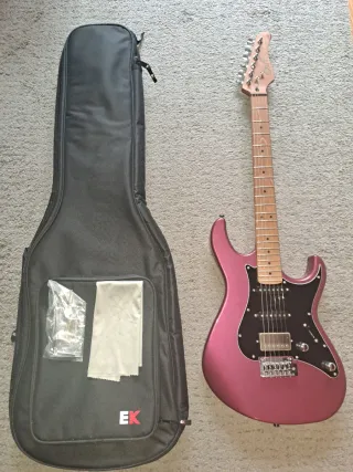 Guitarra Eléctrica Cort G250 SE Borgoña