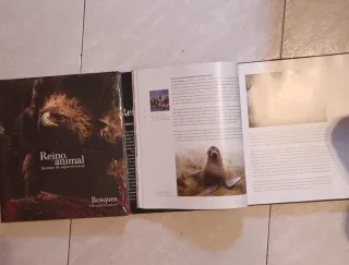 2 libros Reino animal sin estrenar