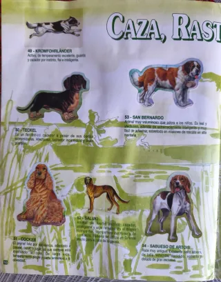 Album Completo Cromos Tu Mejor Amigo Bollycao 1994