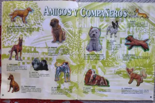 Album Completo Cromos Tu Mejor Amigo Bollycao 1994