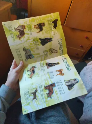 Album Completo Cromos Tu Mejor Amigo Bollycao 1994