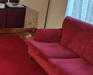 Sofá 2 plazas terciopelo rojo