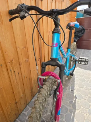 Bicicleta B-Pro 20 Azul y Rosa