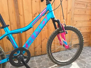 Bicicleta B-Pro 20 Azul y Rosa
