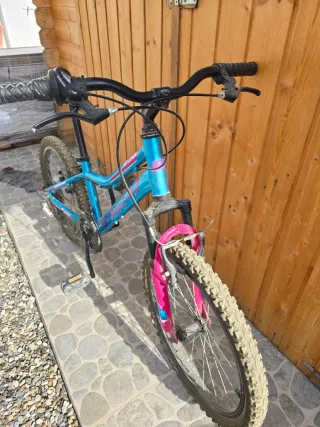 Bicicleta B-Pro 20 Azul y Rosa