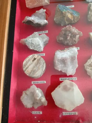 Eccezionale Quadro di Minerali e Fossili