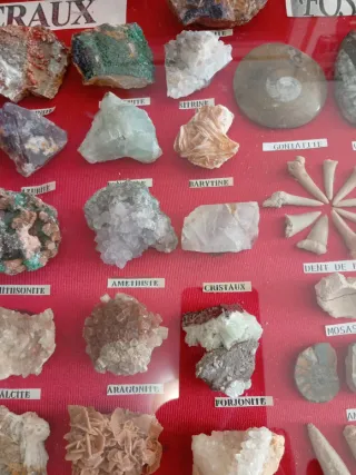 Eccezionale Quadro di Minerali e Fossili