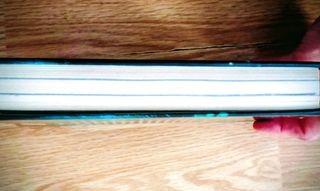 Libro 1 El secreto de las gemelas (Fairy Oak)