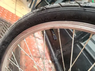 Bicicleta Plegable Negra