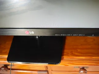 Monitor LG 23 Negro/Gris