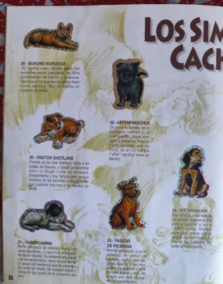 Album Completo "Tu Mejor Amigo 2" Bollycao 1995