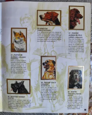 Album Completo "Tu Mejor Amigo 2" Bollycao 1995