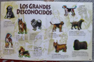 Album Completo "Tu Mejor Amigo 2" Bollycao 1995