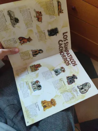 Album Completo "Tu Mejor Amigo 2" Bollycao 1995