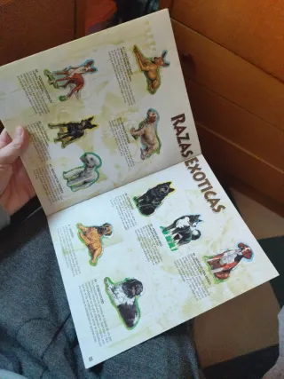 Album Completo "Tu Mejor Amigo 2" Bollycao 1995