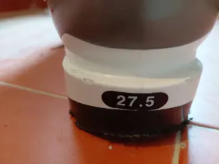 Botas de esquí Tecnica Phoenix 10 – Talla 27.5