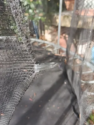 Cama elástica Decathlon colchoneta