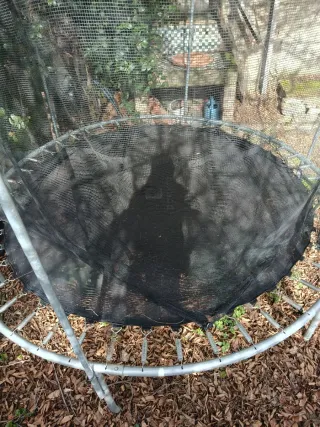 Cama elástica Decathlon colchoneta