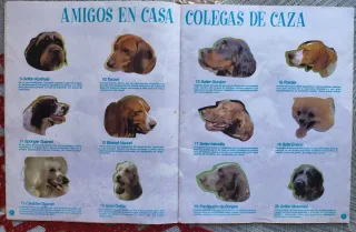 Album Completo "Amigos y Colegas" Bollycao 1997