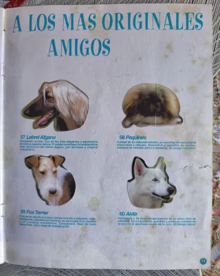 Album Completo "Amigos y Colegas" Bollycao 1997