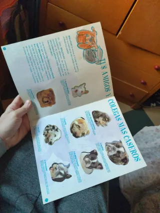 Album Completo "Amigos y Colegas" Bollycao 1997