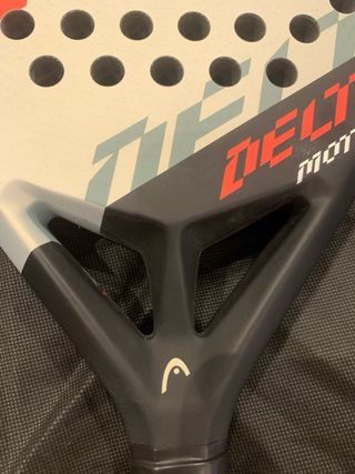 Pala Head Delta Motion