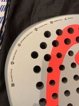 Pala Head Delta Motion