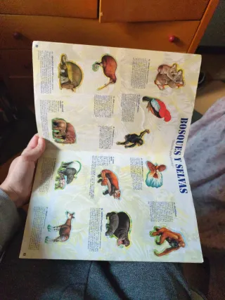 Álbum Completo Fauna en Peligro Bollycao 1995