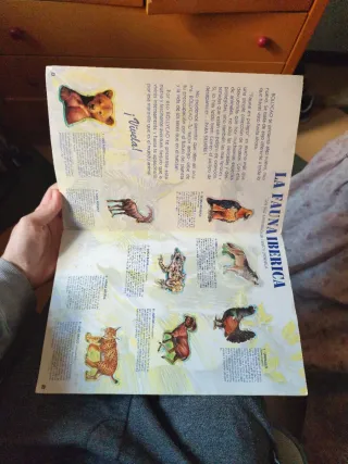 Álbum Completo Fauna en Peligro Bollycao 1995