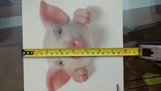 Tappetino Mouse TUCANO