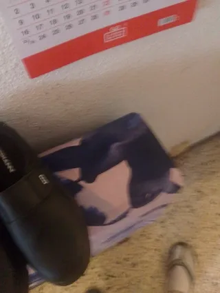 Zapatos de cocina negros