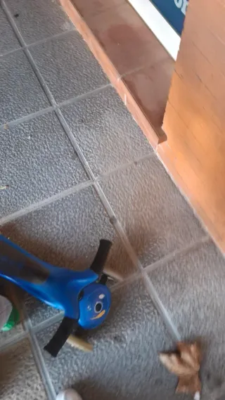 Patinete infantil azul