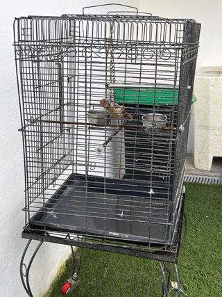 Jaula grande para loros