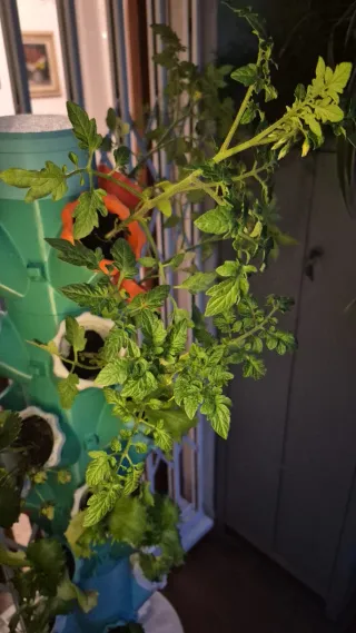 Stampante 3D Creality Ender 3 V3 KE Full Optional