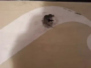 Tabla de Snowboard Forum