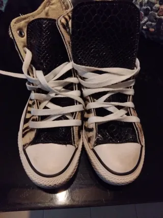 Converse zebrate alte