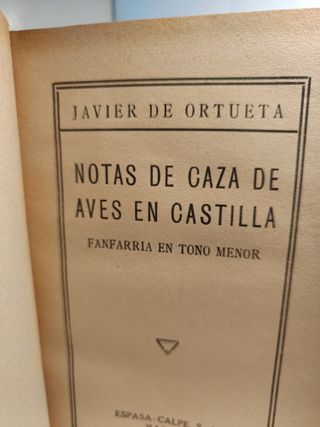 Notas de caza de aves en Castilla