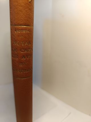 Notas de caza de aves en Castilla