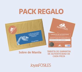 Fósil Squalicorax Auténtico Expositor