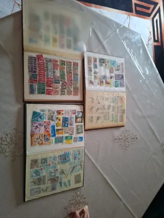 3 libri di collezione da marca da polo