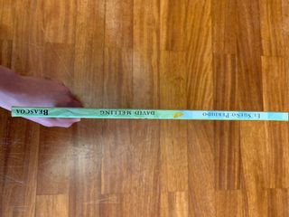 El sueno perdido / The Lost Dream (Spanish Edit...