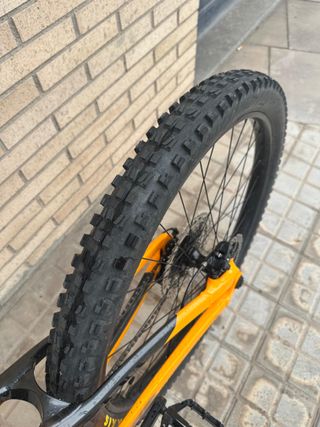 Trek Fuel EX 5 2023