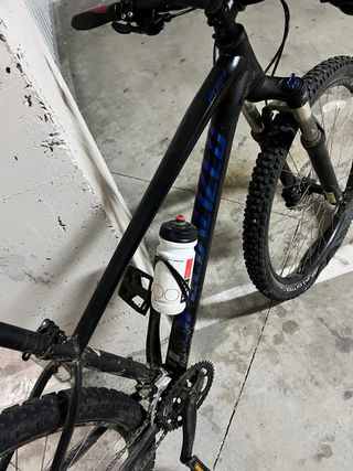 Bicicleta Specialized da Donna