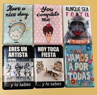 Lote 6 Imanes Divertidos