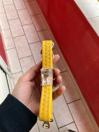 Tracolla Gialla con Moschettoni Oro