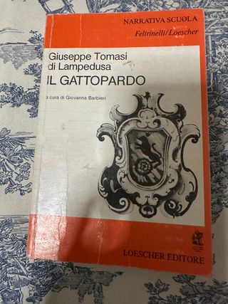 Gattopardo (La Strega E Il Capitano)