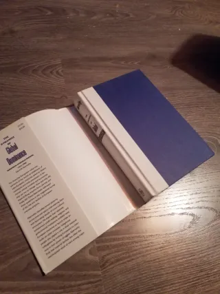 The Dynamics of Global Dominance European Overs...